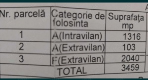 Pamant extravilan + intravilan Scorțeni  - imagine 3