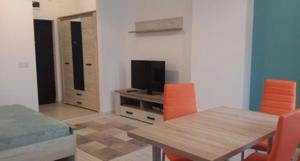 Apartament 1 camera Tatarasi