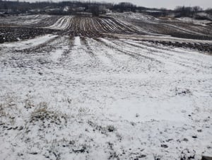 De vânzare teren pentru casa 1000,m2