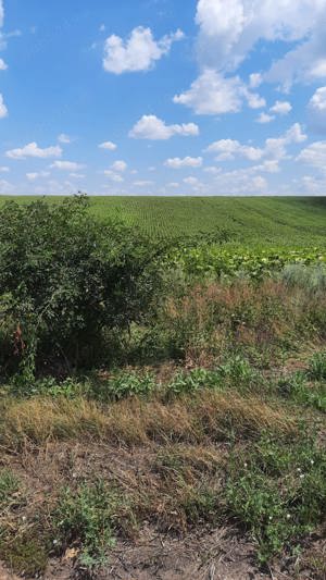 Teren Dumbravajud Bacau agricol,extravilan. Pretabil investitie turism,depozit,industrie alimentara  - imagine 2