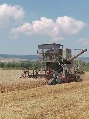 Claas Matador Gigant - imagine 2