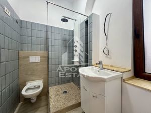 Apartament o camera, 42mp, complet renovat, zona Badea Cartan - imagine 10