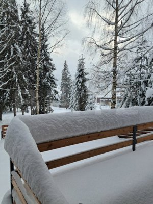 Casa de vacanta, cu 3 camere, 130 mp, zona-Vatra Dornei - imagine 20