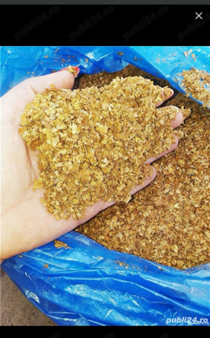 tutun tocat fara praf si cotoare la 100de lei 