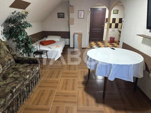 Cazare pentru muncitori 4 apartamente 20 de paturi Terezian Sibiu - imagine 13