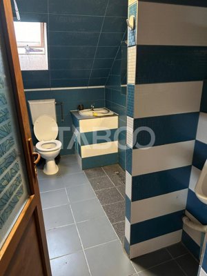 Cazare pentru muncitori 4 apartamente 20 de paturi Terezian Sibiu - imagine 19