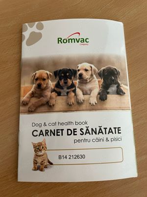 Vând căței Tekel - imagine 3 Vând căței Tekel - imagine 3