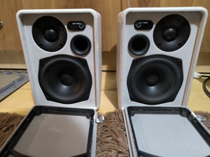 Boxe Audio Pro LV2 