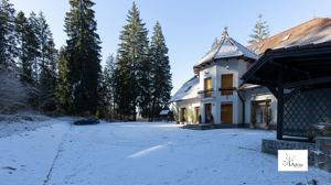 Pensiune-vila superba in mijlocul naturii langa partiile de schi. - imagine 4