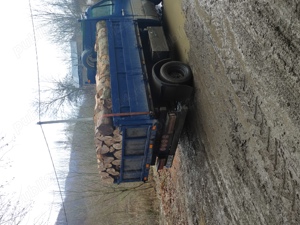 Sc depozit transportă lemne de foc Fag uscate sau verzi 