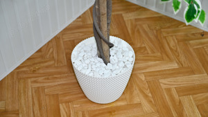 Plante si copaci artificiali + Cadou - imagine 5