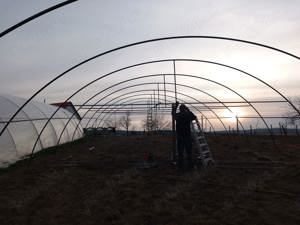 Execut solarii,ofer si factura pt cei cu proiecte europene,orice info la tel 