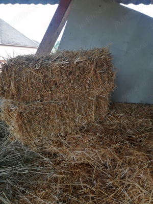 Vând baloți de fân și paie anul 2025! - imagine 2