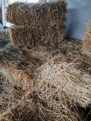 Vând baloți de fân și paie anul 2025! - imagine 3