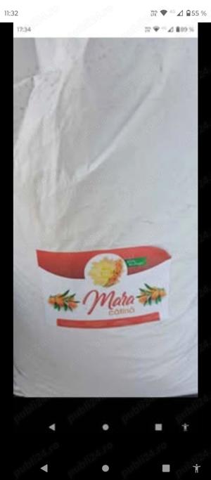 Cătină bio cu miere de salcâm  - imagine 2