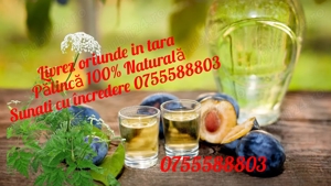 Cu certificat 100% Pălincă naturală, livrez in toată tara 