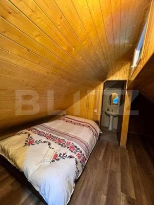 Cabana cu vedere la lac, 8 camere, 200 mp, 1800 mp teren, zona Colibita - imagine 7