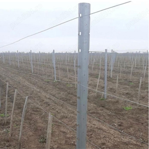 vand spaleri zincati 