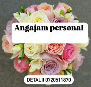 Angajam personal part time 2200 lei  net in Giroc Timis 