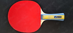 Vand paleta Joola Team Master