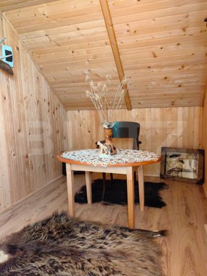 Ocazie unica! Cabana 200 mp utili, teren 800 mp, Ilisesti - imagine 11