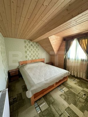 Ocazie unica! Cabana 200 mp utili, teren 800 mp, Ilisesti - imagine 14