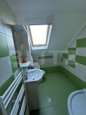 Ocazie unica! Cabana 200 mp utili, teren 800 mp, Ilisesti - imagine 18