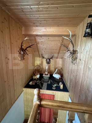 Ocazie unica! Cabana 200 mp utili, teren 800 mp, Ilisesti - imagine 16