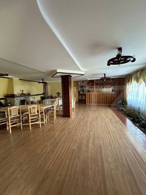 Ocazie unica! Cabana 200 mp utili, teren 800 mp, Ilisesti - imagine 5