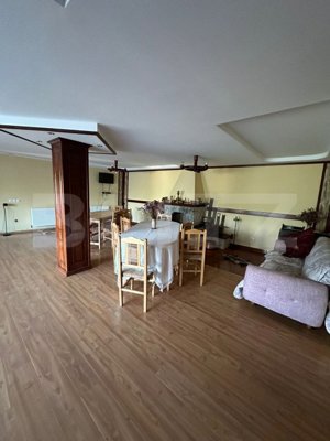 Ocazie unica! Cabana 200 mp utili, teren 800 mp, Ilisesti - imagine 3