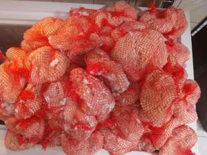 mațe de oaie  - imagine 3