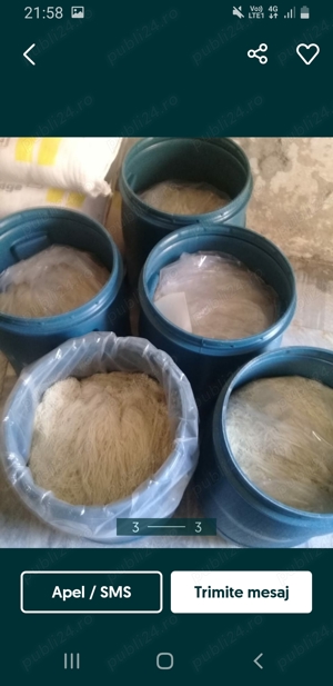 mațe de oaie  - imagine 5