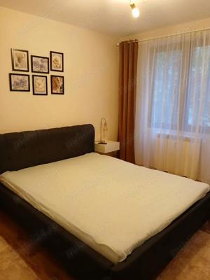 Apartament cu 2 camere în zona Take Ionescu Popa Sapca etaj 2 cu balcon amenajat recent mobilat  - imagine 8