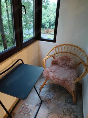 Apartament cu 2 camere în zona Take Ionescu Popa Sapca etaj 2 cu balcon amenajat recent mobilat  - imagine 7