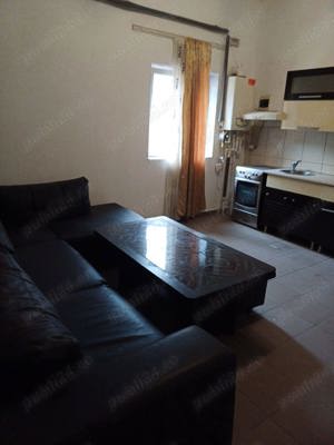 Apartament 2 camere Fabric, Incalzire in pardoseala, Pet friendly - imagine 4