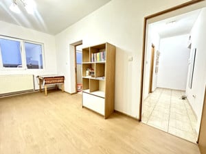 Apartament cu 1 camera, 28 mp utili - Torontalului  - imagine 3