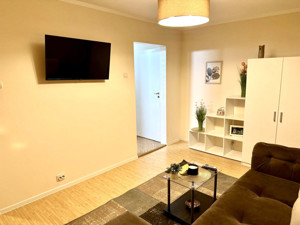 Apartament de lux cu 1 camera, 28 mp utili - Calea Lipovei  - imagine 4