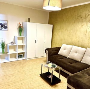 Apartament de lux cu 1 camera, 28 mp utili - Calea Lipovei  - imagine 3