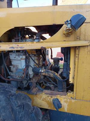 Vola caterpillar  - imagine 7