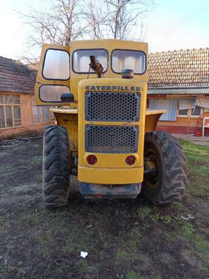 Vola caterpillar  - imagine 9