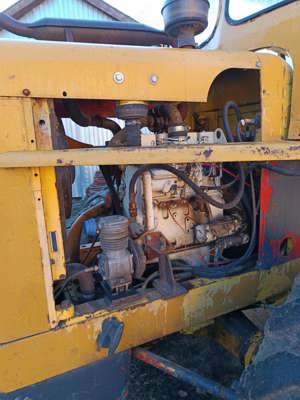 Vola caterpillar  - imagine 3