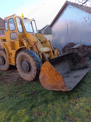 Vola caterpillar  - imagine 6