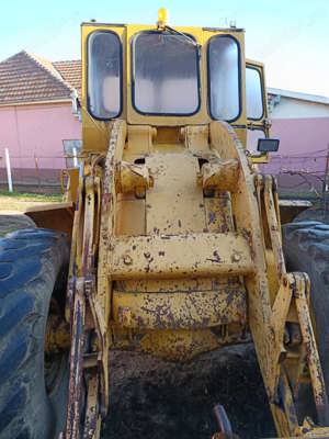 Vola caterpillar  - imagine 2