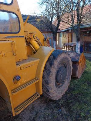 Vola caterpillar  - imagine 4