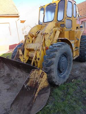 Vola caterpillar  - imagine 10