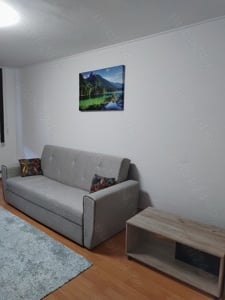 Închiriez apartament cu doua camere in Timișoara  - imagine 3