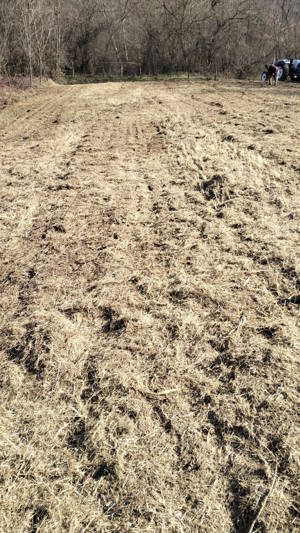 Vand teren pt casa - imagine 3