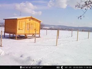 Teren de vanzare la marginea pădurii, aproape de Săliște, jud Sibiu - imagine 10