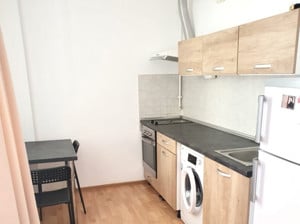 Apartament cu 1 camera de inchiriat, 40 mp utili - zona Aradului - imagine 3