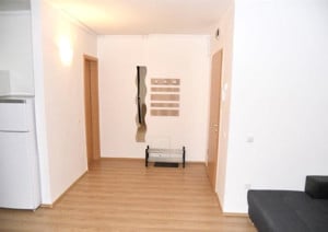 Apartament cu 1 camera de inchiriat, 40 mp utili - zona Aradului - imagine 5